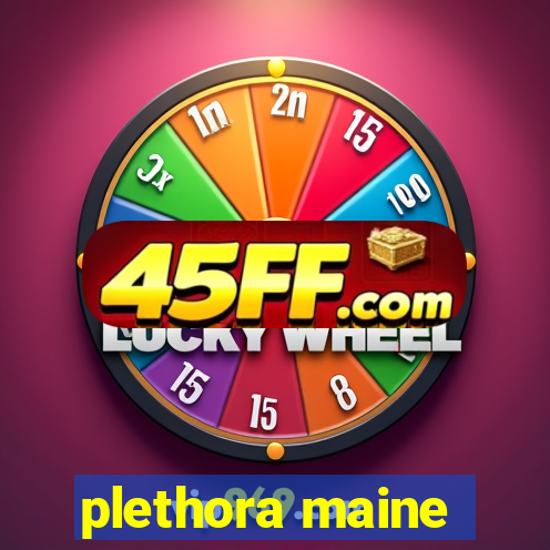 plethora maine